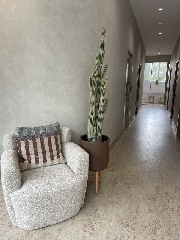Minimalist Osteopath waiting area with armchair next to a cactus plant.